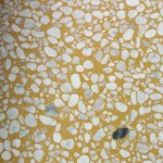 sassi-giallo